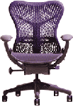 Herman Miller Mirra Adjustable Desk Chair