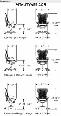 Ergonomic Chairs on Mirra Home Office Ergonomic Chair  Mirra Office Desk Task Chairs