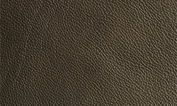 Fjords Slate AL 543 Premium Astro Line Leather 