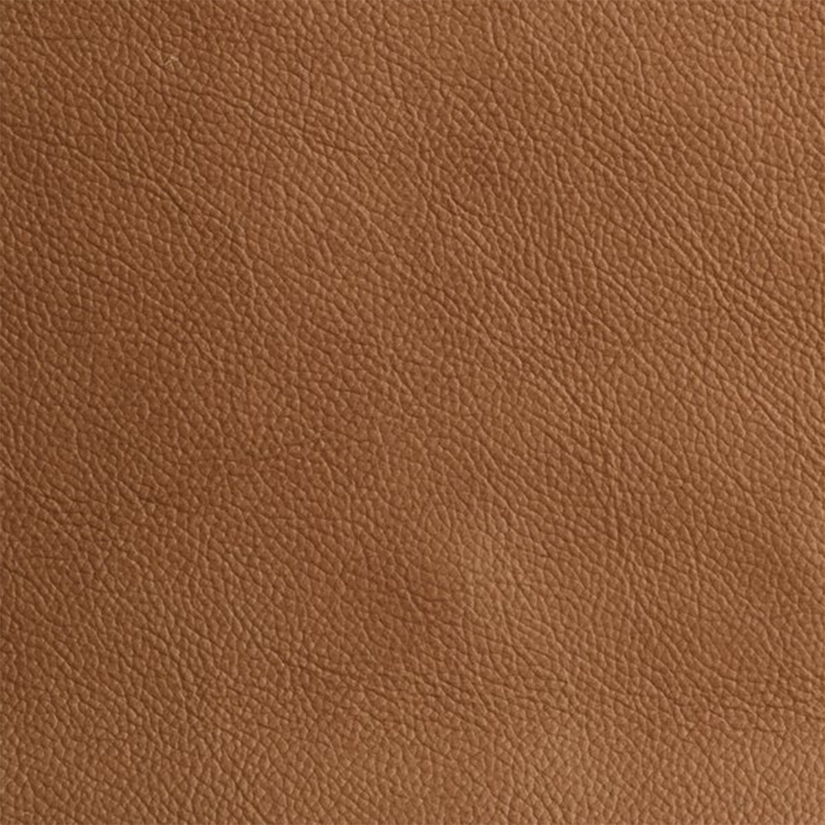 Fjords Leathers