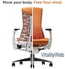 Herman Miller Embody Office Chair